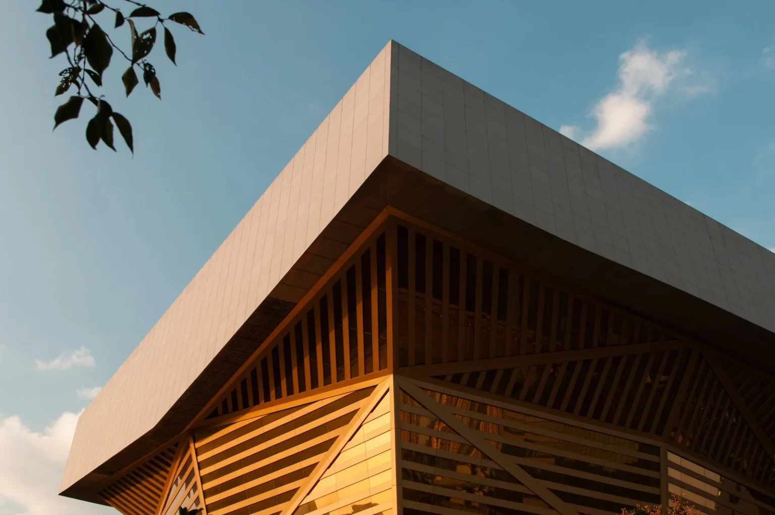 Façade architecturale en bois réalisée par MS BOIS, combinant bardage bois et structure contemporaine pour un bâtiment tertiaire