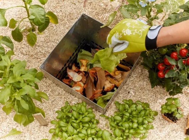 Image composteur mon petit potager