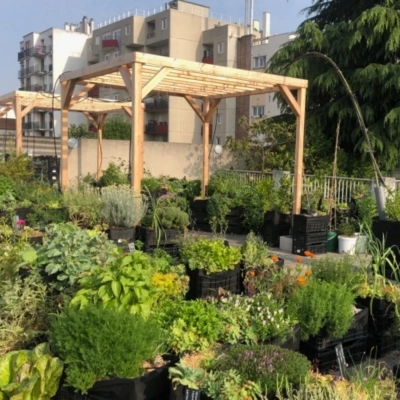 Pergola 4